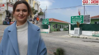 Edirne'de hayvan ölümleri sonrası belediye eleştiriliyor