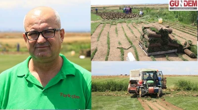 Rulo çim üreten tesis köyden kente göçü tersine çevirdi