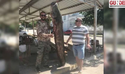 80 kilogramlık yayın balığı yakaladı