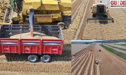 Arabacı, 'Verimler dekarda 250-400 kilogram arasında değişiyor'
