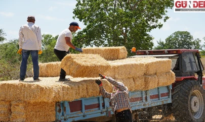 Balya işçileri kavurucu sıcakta mesai yapıyor