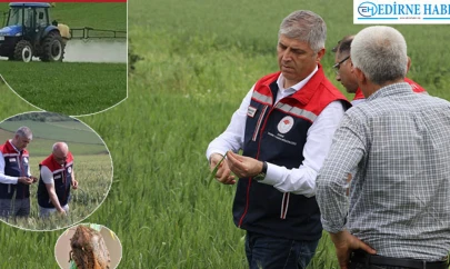 Buğday verimi için çiftçiye süne uyarısı