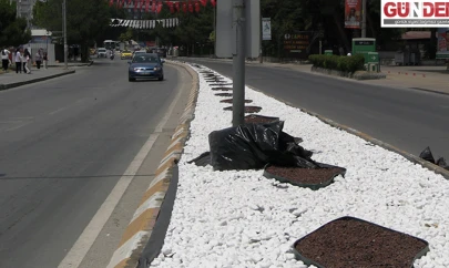 Eren, 'Taş değil yeşil istiyoruz'