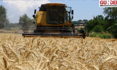 Hasat ve Balya bağlama belirli saatlerle sınırlandırıldı