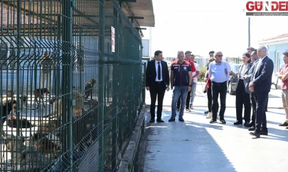Hayvan barınakları incelendi