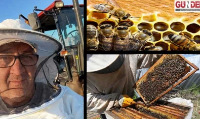 İklim krizi arıların geleceğini tehdit ediyor