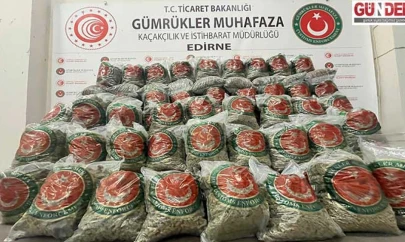 Kapıkule Gümrük Kapısı'nda 382 kilo esrar ele geçirildi