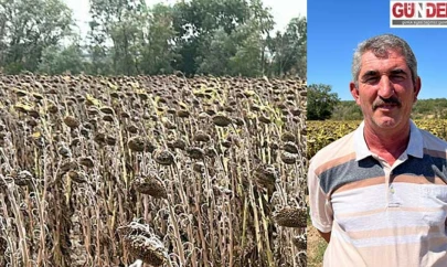 Kuraklık Trakya'da üretimi felce uğrattı