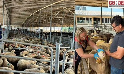 Kurban satış alanlarına hijyen denetimi