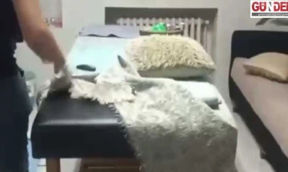 Masaj salonlarına operasyon