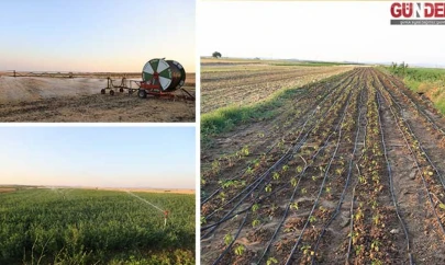 Sulama imkanı artan köylerde yılda iki ürün alınmaya başladı