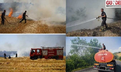 Tarım arazisinde çıkan yangın korkuttu
