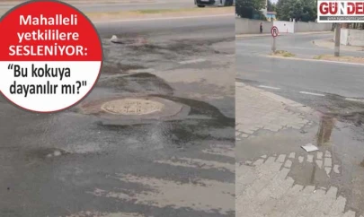 Taşan rögar mahalleliyi canından bezdirdi