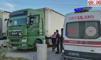 Tır sürücüsü aracında ölü bulundu