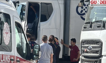 Tır sürücüsü aracında ölü bulundu