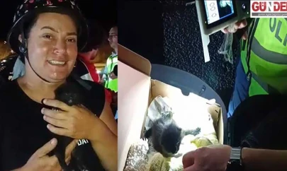 Trafik denetiminde motosiklet sepetini açan polisler yavru kediyle karşılaştı