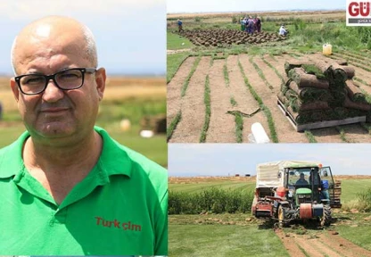 Rulo çim üreten tesis köyden kente göçü tersine çevirdi