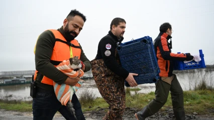 Ekipler, hayvanları sel suyundan kurtardı
