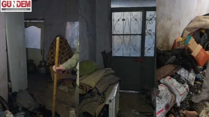 'Fareli Ev'de Yaşam Mücadelesi