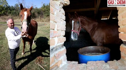 Kanseri yenen eski jokey, köyünde şampiyon atlar yetiştiriyor
