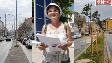 Kocasinan'daki ağaçlandırma gerçeği yansıtmıyor