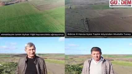 Mera ıslahı hayvancılığa can suyu oldu