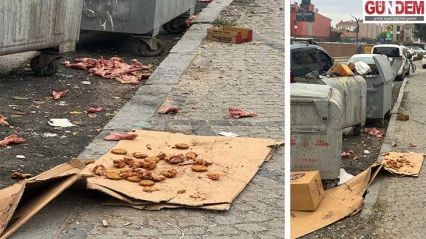 Vahşi besleme, çöp dağları ve bakımsız konteynerler: Çarşının kalbi leş gibi!