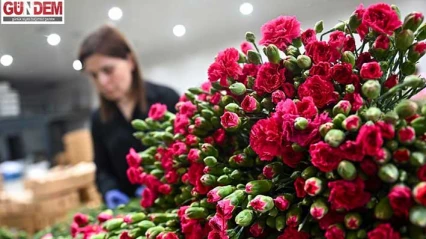 Yaman, 'Çırak yetişmezse meslek birkaç yıla yok olacak'