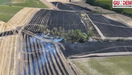 Buğday tarlasında çıkan yangın söndürüldü