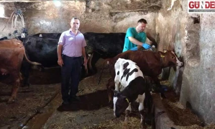 'Güvenilir gıda için sahadayız'