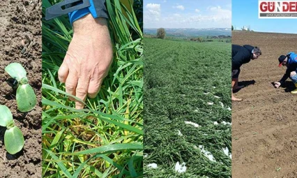 Keşan'da Don Riskine Karşı Tarım Alanları Gözden Geçirildi