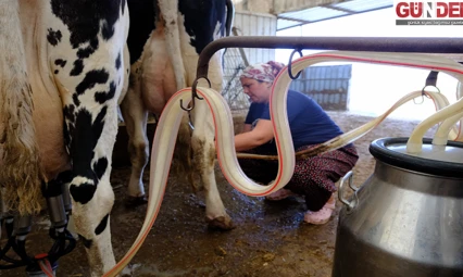 Köyün Hanımağası oldu