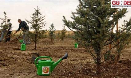 Yumaklı'dan vatandaşa çağrı: 'Şölen Havasında Fidan Dikelim'