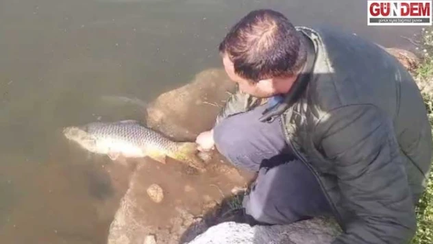 Amatör olta balıkçısı davranışı takdir topladı