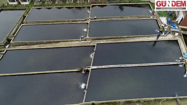 Bal karşılığı aldıkları alabalık yavrularıyla kurdukları çiftlikte talebe yetişemiyorlar