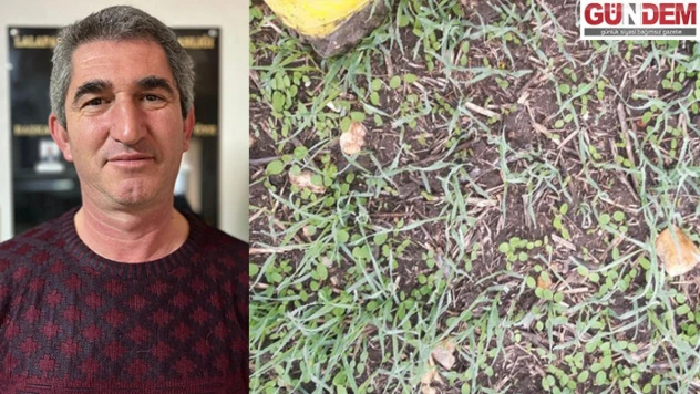 Bilinçsiz yapılan ilaçlama ürünlere zarar veriyor