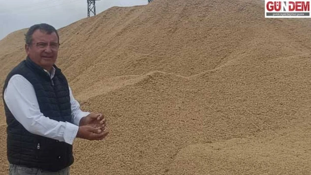 Çeltik üreticileri yerli tohumla yüksek verim elde etti