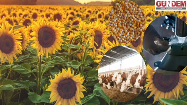 Destekleme ödemesi hesaplara aktarılıyor