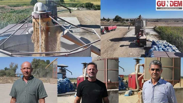 Edirne'de çeltik üreticisi hasat sonrası kurutma mesaisine başladı