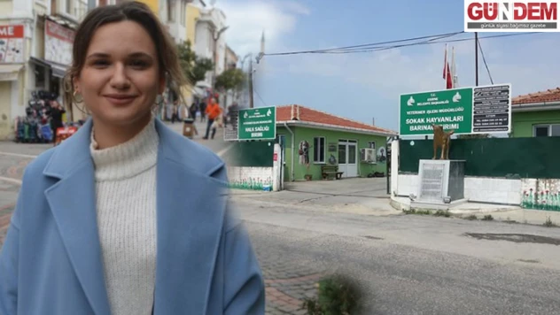 Edirne'de hayvan ölümleri sonrası belediye eleştiriliyor