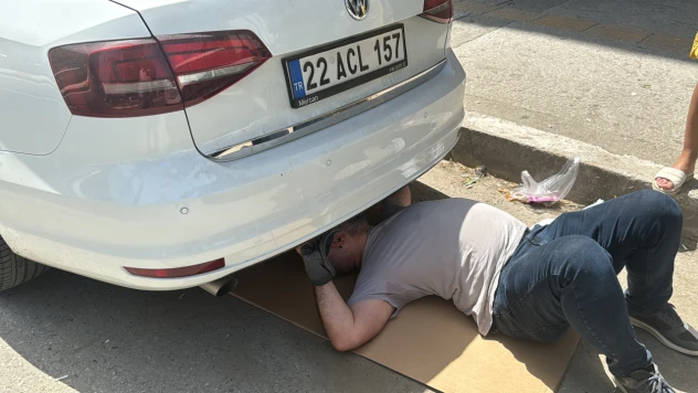 Edirne'de kedi yavrusu, motor bölümüne girdiği araçların sahiplerine zor anlar yaşattı