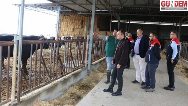 Edirne Tarım ve Orman Müdürü Köse, Lalapaşa'daki hayvancılık işletmesini ziyaret etti