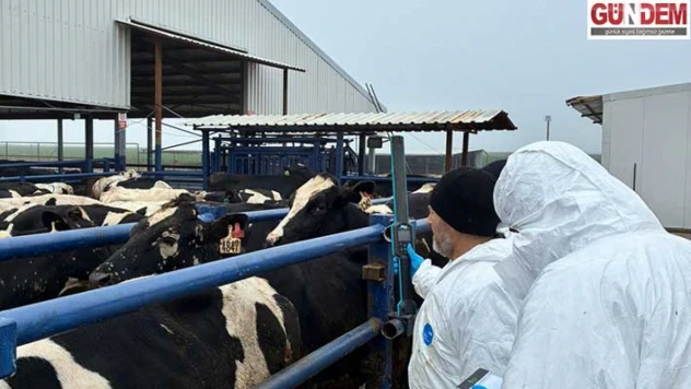 Ekipler hayvan sağlığı taraması çalışmalarını sürdürüyor