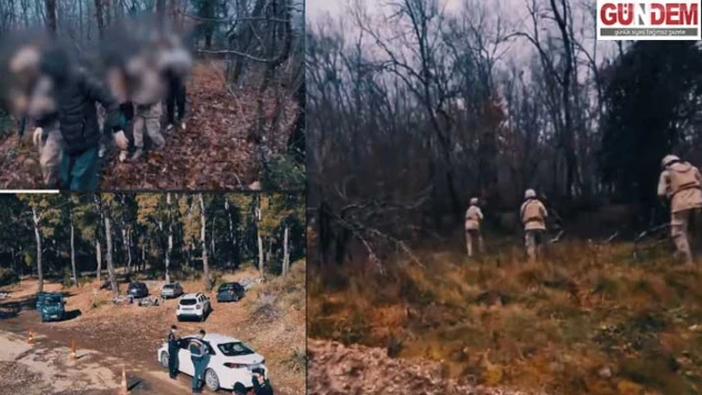 Göçmen kaçakçılığı ağı çökertildi