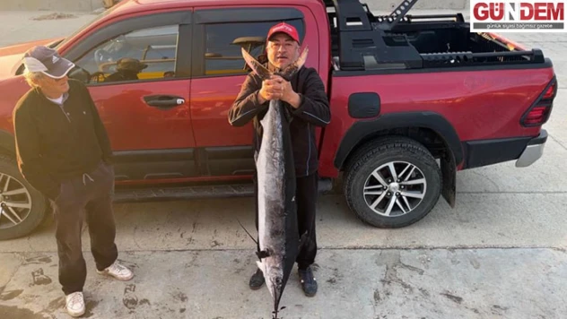 Gökçeadalı balıkçı 2 metre boyunda, 50 kilogram ağırlığında merlin balığı avladı