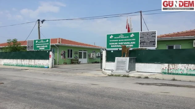 Gözaltına alınan belediye personeli serbest bırakıldı