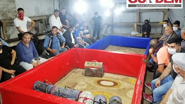 Tekirdağ'da Kovid-19 tedbirlerini ihlal ederek horoz dövüştüren 23 kişiye para cezası verildi