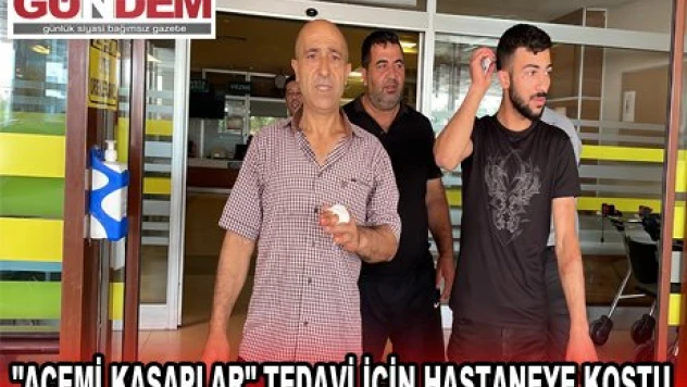 Trakya'da 'acemi kasaplar' tedavi için hastaneye koştu