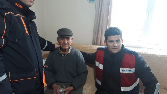 Domuz korkusu ağaca çıkardı