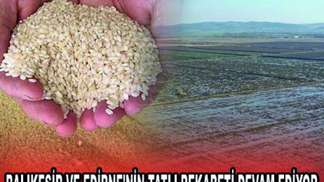 BALIKESİR VE EDİRNE'NİN TATLI REKABETİ DEVAM EDİYOR